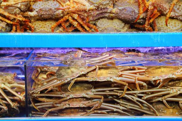 istock Live crabs in market aquariums in Korea 2157247850
