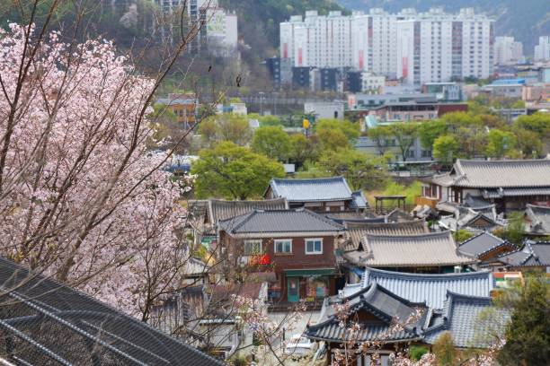 istock Jeonju city in spring, South Korea 2157247926