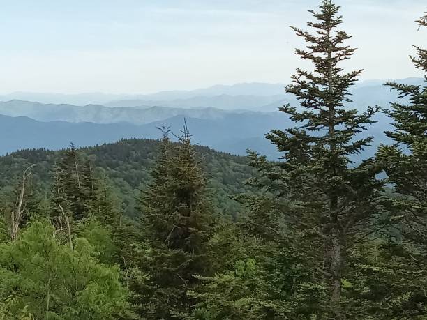 istock Cligmans Dome North Carolina 2157248669
