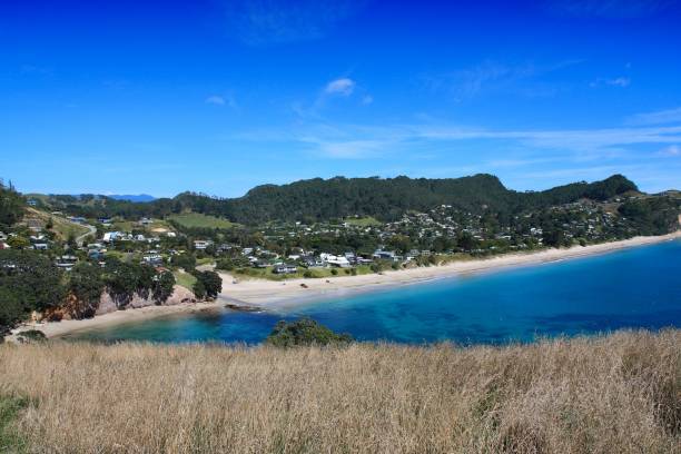 istock Coromandel beach in New Zealand 2157249485