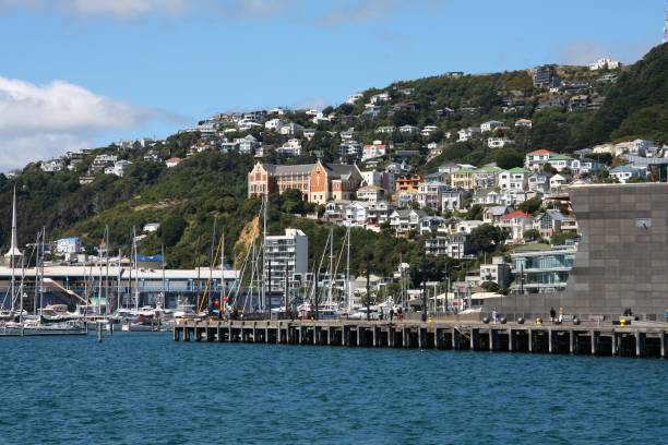 istock Mount Victoria, New Zealand 2157249927