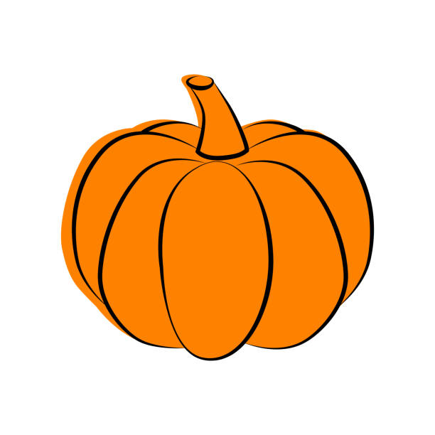 Pumpkin line icon. Pumpkin for Halloween or Thanksgiving. Flat vector orange icon for apps and websites Pumpkin line icon. Pumpkin for Halloween or Thanksgiving. Flat vector orange icon for apps and websites. pumpkin stock illustrations