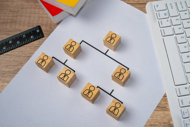 istock Company hierarchical organizational chart. 2157257867