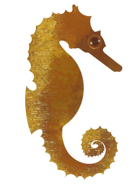 istock sea ​​horse made in digital watercolor 2157260031