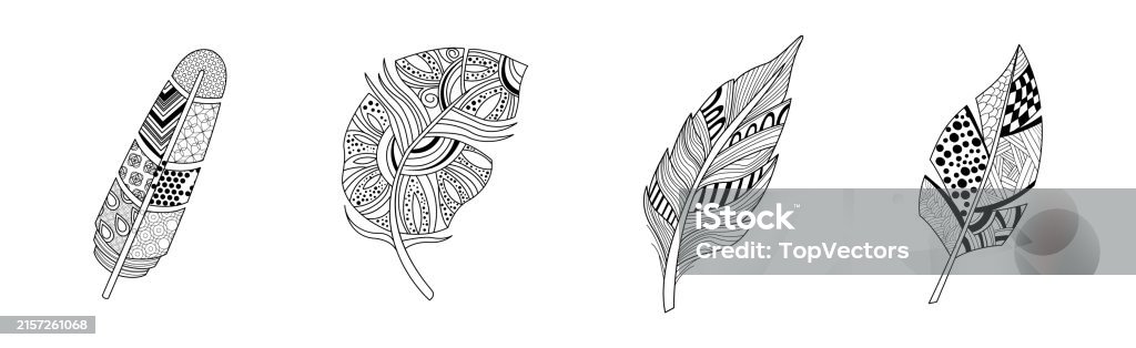 Feather Element Design Feather Artistically Drawn Stylized Element Vector Set Stock ...