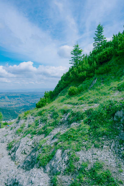 istock A rocky hill covered with vegetation 2157264235