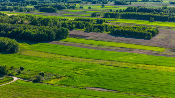istock Farm fields in summer, Poland. Aerial drone view 2157265689
