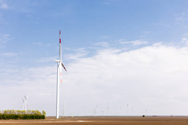 Wind turbines stand tall against a vast horizon, with a solitary tree contrasting the arid terrain.