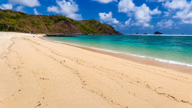 istock Beautiful sandy tropical beach with coral reef in a warm ocean (Tampah, Lombok) 2157270819