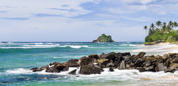 istock Tropical beach, palm trees and blue sky. Wide photo. 2157273943