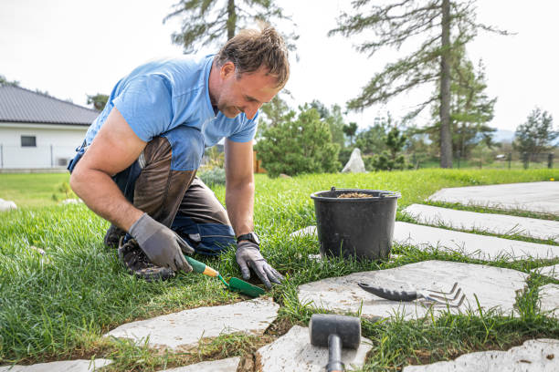 istock Gardening. A man makes a footpath in the grass from travertine rustic stone. 2157275940