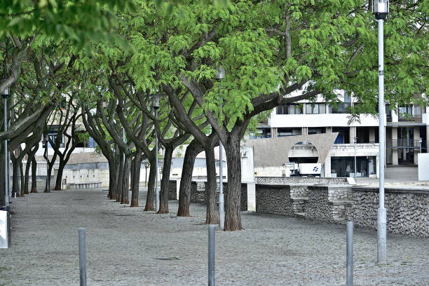 istock URBAN PARK IN THE CITY 2157276766
