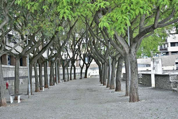 istock URBAN PARK IN THE CITY 2157276767