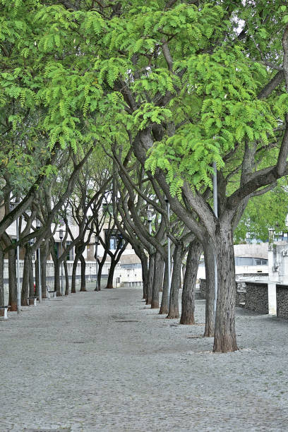 istock URBAN PARK IN THE CITY 2157276774