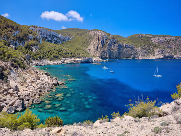 Wide-angle view of Cala d'Albarca, a pristine bay with rich environmental value located on the western coast of Ibiza, known for its botanical diversity and ornithological interest. The dazzling bright light of a Mediterranean summer morning, picturesque clouds, rough rocky cliffs covered with lush pine tree forests and dotted with a wide variety of Mediterranean-type plants, sailing boats rocking gently on shallow blue waters. High level of detail, natural rendition, realistic feel. Developed from RAW.