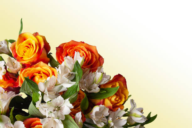 istock a bouquet of spring flowers on a yellow background 2157278592