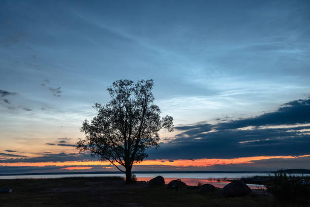 istock silver clouds in the reflection of the lake on a summer night 2157281253