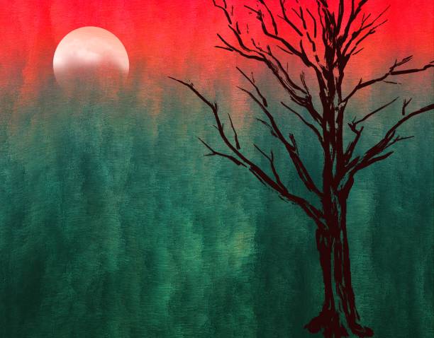 istock A dried tree against the background of an evening coniferous forest 2157284539