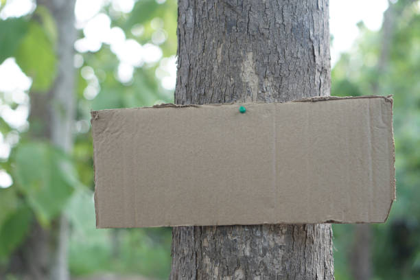 istock Blank paper card board for adding texts or words, sticked on trunk of tree. Concept, Sign and notice. Announcement. Giving information. 2157287292