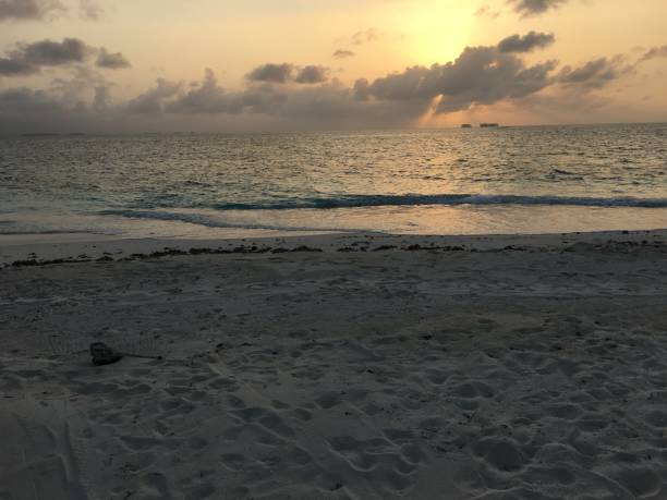 istock San Blas Island beach at sunset 2157289710