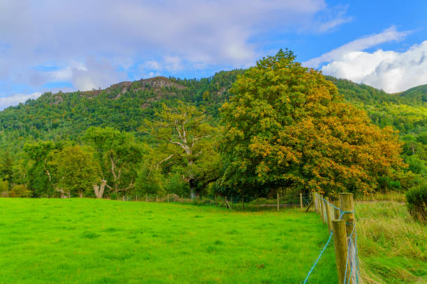 istock Trees, grass, and mountains,  the Lake District 2157289803