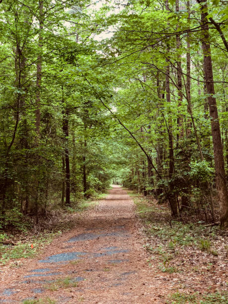 istock Trail in Maryland 2157292393