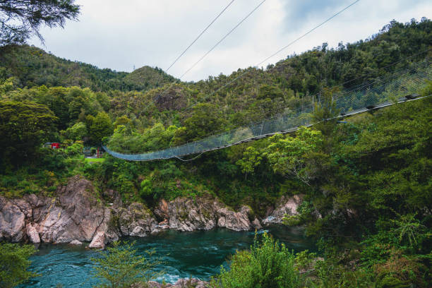 istock Buller Gorge Swingbridge: Thrills Amidst Natural Beauty 2157298182