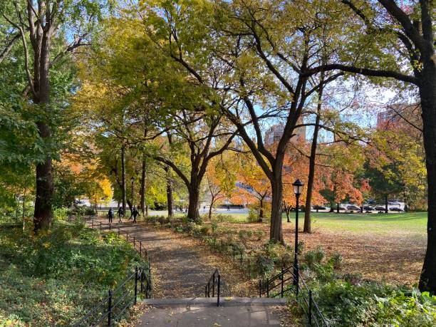 Looking down a long set of stairs curving through St. Nicholas Park in the fall in Harlem View from above of a long path with stairs curving through the trees from St. Nicholas Terrace to St. Nicholas Avenue and 135th Street in historic St. Nicholas Park, Harlem, New York City harlem park stock pictures, royalty-free photos & images