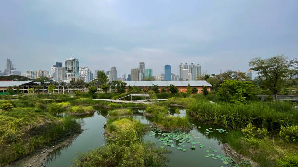 istock Landscape With Park in City, Cityscape View With Park, Copy Space 2157302106