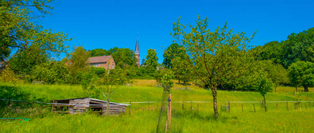 istock Fields and trees in a green hilly grassy landscape under a blue sky in sunlight in summer 2157302428