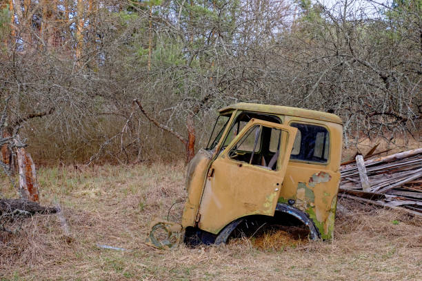 A rusted, abandoned car in a wooded area.