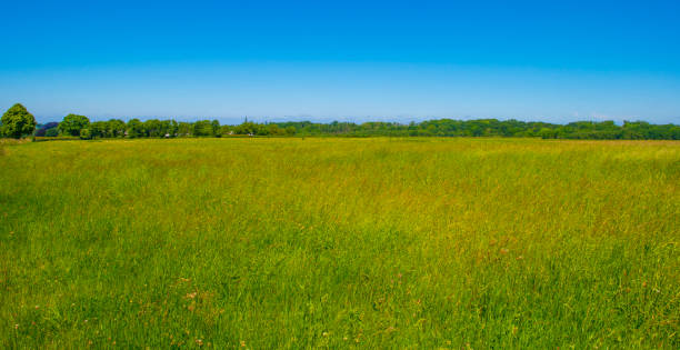 istock Fields and trees in a green hilly grassy landscape under a blue sky in sunlight in summer 2157302713