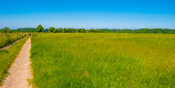 istock Fields and trees in a green hilly grassy landscape under a blue sky in sunlight in summer 2157302742