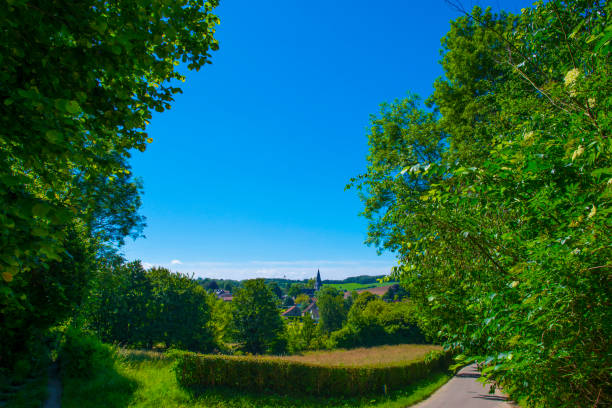 Fields and trees in a green hilly grassy landscape under a blue sky in sunlight in summer, Voeren, Limburg, Belgium, June, 2024