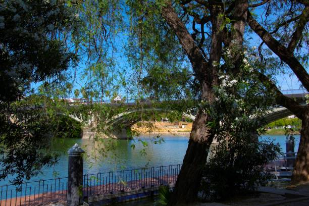 istock bridge near a park at the waterfront 2157304827