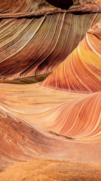 istock Coyote Buttes in the Paria Canyon-Vermilion Cliffs 2157308139