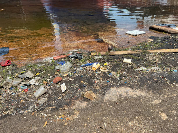 istock garbage, plastic in the water in dry dock, port. 2157309034