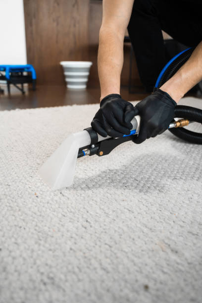 istock Extractor washing of carpet. Cleaner is using extractor to clean the carpet at home. Using extractor to wash off the carpet from dust and stains. 2157311832
