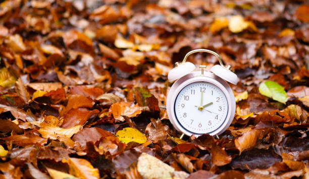 istock Alarm clock with autumn foliage, end of daylight saving time in fall, winter time changeover 2157313633