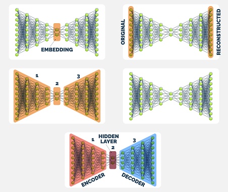 Comprehensive Autoencoder Neural Network Guide Encoding To Decoding ...