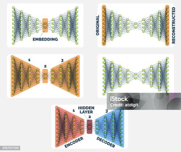 Decoding Visuals Comprehensive Autoencoder Neural Network Guide Encoding To Decoding ...