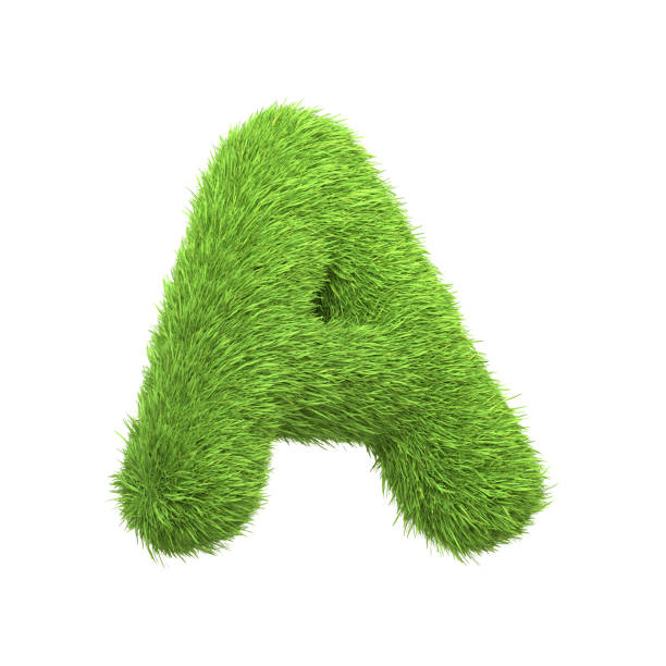 istock Capital letter A shaped from lush green grass, isolated on a white background 2157318667