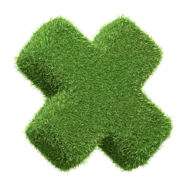 istock A green grass textured multiplication sign isolated on a white background 2157318769