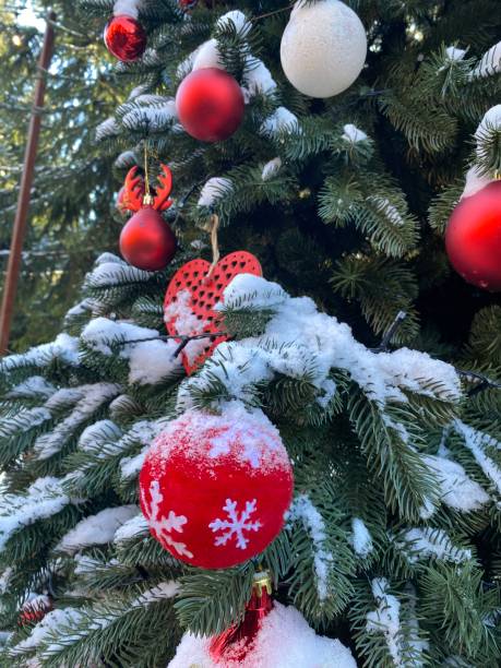istock Beautiful ornaments in the Christmas tree 2157321542