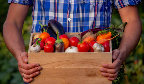 istock male farmer holding a box with vegetables. Selective focus 2157322138