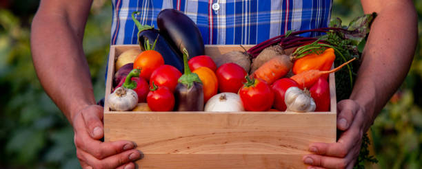 istock male farmer holding a box with vegetables. Selective focus 2157322172
