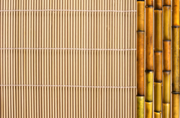 Organic Bamboo background. Eco-friendly background with Bamboo stems on cane mat texture. Copy space for text