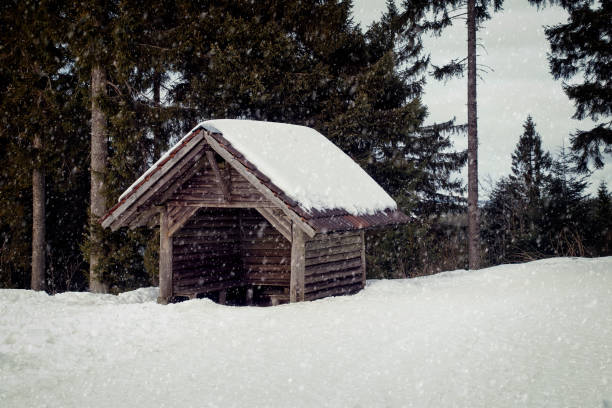 Wooden log cabin in winter forest, snow falling down, dark scenery