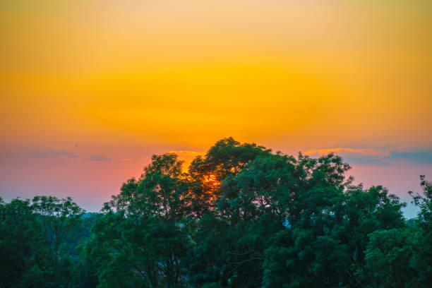 Sunset over fields and trees in a green hilly landscape under a colorful sky in sunlight in summer, Voeren, Limburg, Belgium, June, 2024