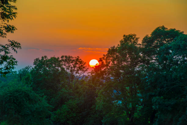 Sunset over fields and trees in a green hilly landscape under a colorful sky in sunlight in summer, Voeren, Limburg, Belgium, June, 2024